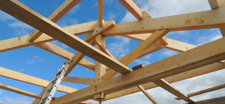 entreprise traitement charpente salon de provence